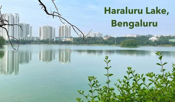 Haralur Lake near Sarjapur Road