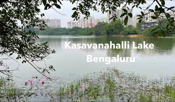 Kasavanahalli Lake near Sarjapur Road